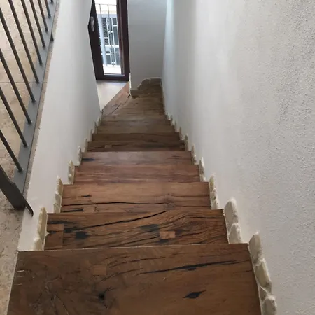 La Casa Del Geko *